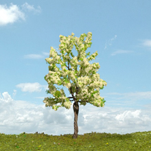 model trees
